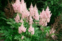 June-2004-011