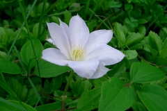 June-2004-016