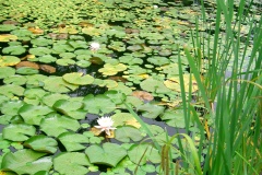 CIMG0075