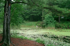 CIMG0079