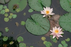 CIMG0082