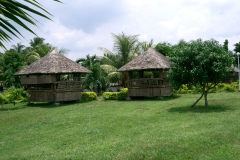 CIMG0087