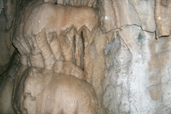 CIMG1241
