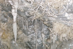 CIMG1249
