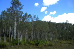 DSCN0089