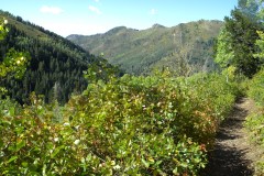 DSCN0098