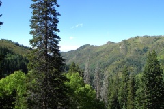 DSCN0099