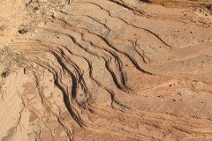 IMG_0079