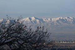 IMG_1058