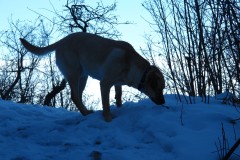 IMG_1083