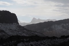 IMG_2284