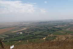 IMG_3944