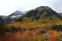 IMG_4446