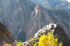 IMG_4491