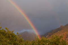 2013-10-14-1123