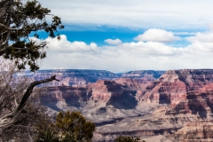 2013-02-20-8887