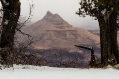 2013-02-21-8973