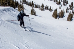 2013-03-12-9236