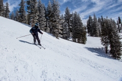 2013-03-12-9338