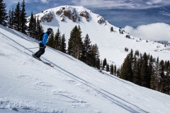2013-03-12-9365