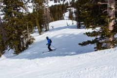 2013-03-12-9467