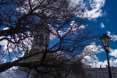 2013-04-04-9619