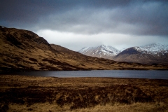 2013-04-08-9746