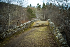 2013-04-08-9805