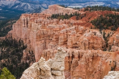 2013-07-19-0251