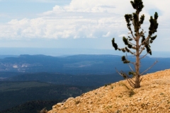2013-07-19-0275