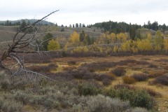 2013-09-28-0883