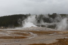 2013-09-29-0981