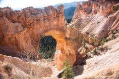 2013-10-26-1355