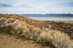 2014-03-16-2313