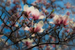 2014-04-12-2339