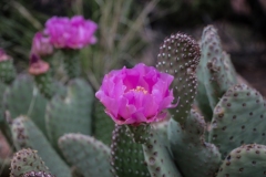 2014-05-06-2585