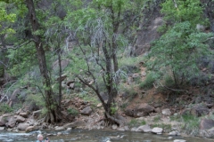 2014-05-06-2623