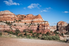 2014-05-08-2818