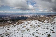 2014-05-08-2826