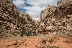 2014-05-08-2873