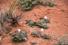 2014-05-09-2949