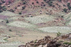 2014-05-09-2991