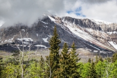 2014-06-11-3478