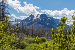 2014-06-11-3584