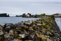 2019-05-15-8327