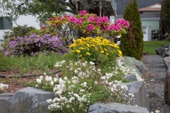 2019-05-15-8332