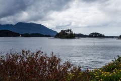 2019-05-15-8343