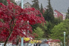 2019-05-16-8367