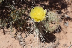 2019-06-11-8377