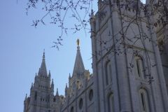 IMG_8686_01